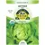 Organic Bibb Lettuce - 2 Gram