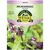 Microgreens, Thai Basil - 800 Mg