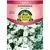 GYPSOPHILA, COVENT GDN. 280 MG