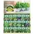 Wetsel 300PKT Herb Counter Display