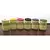 Bosmere Nutscene Twine In Asst Colors 394'