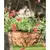 Panacea 14" Cameo Series Hanging Basket