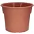 DLN 12.00 COLOR POT 2 TL CL 40/CS 32CS/PL