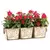 Deer Park 3 Pot Venetian Planter