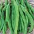 Beans, White Half Runner - 1/2lb
