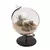 Panacea 4"D Desktop Glass Terrarium Planter With Metal Stand