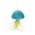 APM Air Plant Jellyfish Teal/Gold