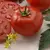 Tomato, Better Boy Treated - 1,000 Seed Count
