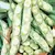 Beans, Fava Broad Windsor - 1/2lb