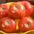 Tomato, Pink Girl Untreated - 5,000 Sd Ct