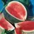 WATERMELON BLACK DIAMOND 1/2LB EACH