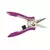 Dramm Compact Shear Berry