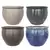 MCarr 32pc Delta Planter Pallet Mixed Colors