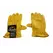 Leather Gloves - Large