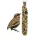 A&E Cage Garden & Fun Chickadee Select Single Seed Stick Multi-Colored