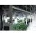 Cannabis Vertical Growing Systems for Vegetation and Flowering Rooms