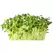 Formulated Plant Food