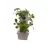 Tabletop Garden Tower
