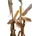 25P88 Corn Seed Hybrid - 55lb Bag