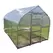 Arrow Greenhouse