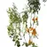 Plant Support Kit