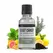 Trainwreck Terpene Profile Wax Liquidizer (Hybrid)
