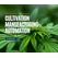 Cultivation Manufacturing Automation - Royal 4 Systems