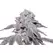 Kush Mintz - Platinum Seeds