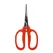 Curved MasaMasa Scissors