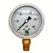 Glycerin Liquid Filled Pressure Gauge - 100 PSI