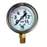 Glycerin Liquid Filled Pressure Gauge - 15 PSI