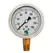 Glycerin Liquid Filled Pressure Gauge - 160 PSI