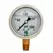 Glycerin Liquid Filled Pressure Gauge - 200 PSI