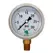 Glycerin Liquid Filled Pressure Gauge - 30 PSI