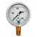 Glycerin Liquid Filled Pressure Gauge - 400 PSI
