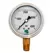 Glycerin Liquid Filled Pressure Gauge - 4000 PSI