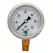 Glycerin Liquid Filled Pressure Gauge - 60 PSI