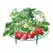 Garden Supports Fruit And Vegetable Gardening