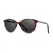 Lennox Sun Tortoise