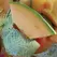 Cantaloupe , Rocky Ford Green Flesh - 1/2oz