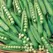 Peas, Knight Treated - 25lb