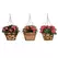 Deer Park Blk Hanging Basket Variety Pk 2 Floral Daisy Ribbon Arch