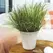 HC 7" Sedona Planter Cottage Stone