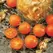 Tomato, Sunsugar - 100 Seed Count