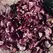 Lettuce, Oakleaf Red 5,000 Seed Count