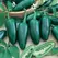 Peppers, Early Jalapeno - 1,000 Seed Count