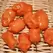 Peppers, Habanero Orange - 1,000 Seed Count