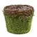 SuperMoss Med Deco Basket Vineyard Fresh Green