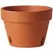 Southern Patio 6" Orchid Clay Pot