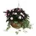 WSP 14" Rustic Rattan Hanging Basket